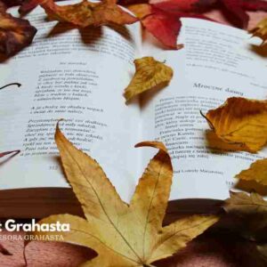 Hechizos para Invitados