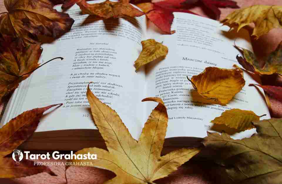 Hechizos para Invitados