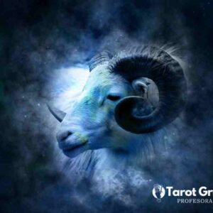 ¿Qué signo lee más?, signos zodiacales, signo del zodiaco, signo zodiacal, signos del zodiaco,