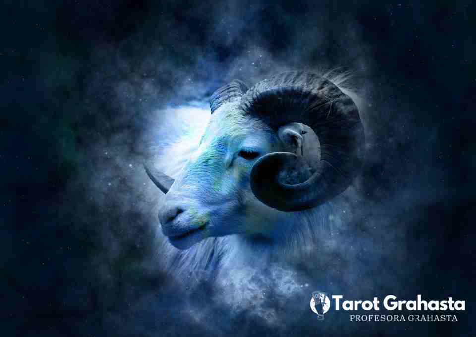 ¿Qué signo lee más?, signos zodiacales, signo del zodiaco, signo zodiacal, signos del zodiaco,