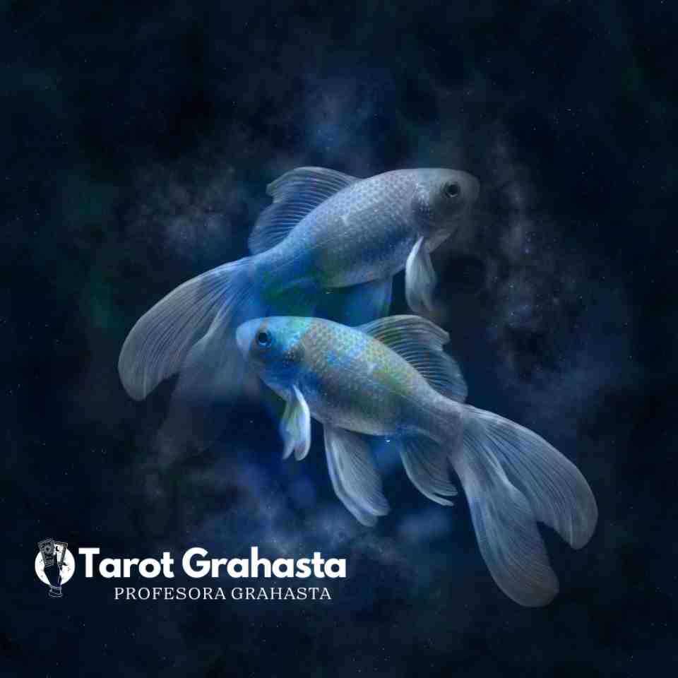 Qué signos son los más humildes