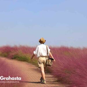 Reflexiones de la Vida Frases que Inspiran y Transforman