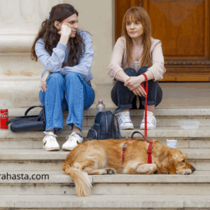 Marca Diario Tarot gratis, tarot gratis, consulta de tarot gratis, sorteo de tarot, tarot en Nicaragua, tarot en Managua, profesora Grahasta, amarres de amor, rituales de magia blanca, limpias espirituales, endulzamientos, alejar malas energías, tarot por videollamada, consulta espiritual, guía esotérica, tarot con resultados, consultas efectivas, servicios esotéricos, consultas confidenciales