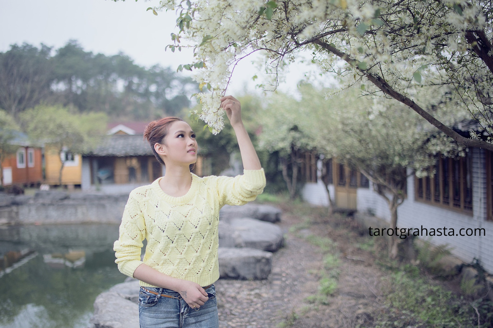 Tarot gratis, consultas de tarot, tarot en Managua, tarot en Nicaragua, profesora Grahasta, tirada de tarot, amarres de amor, magia blanca, rituales espirituales, endulzamientos, limpias energéticas, alejar malas energías, tarot por videollamada, lectura de cartas, tarot efectivo, tarot personalizado, consulta espiritual, tarot confidencial, tarot recomendado, curiosidad por el tarot