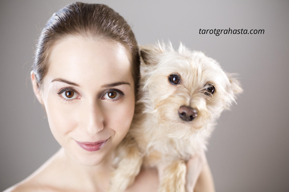 tarot sí o no, tarot sí o no España, tarot gratis, tarot online España, consulta de tarot, tarot amor España, tarot profesional, tarot gratis España, profesora Grahasta, mejor tarotista Nicaragua, tarotgrahasta.com, lectura de tarot instantánea, tarot al instante, tarot en línea gratis, tarot consulta amor, tarot gratis en España