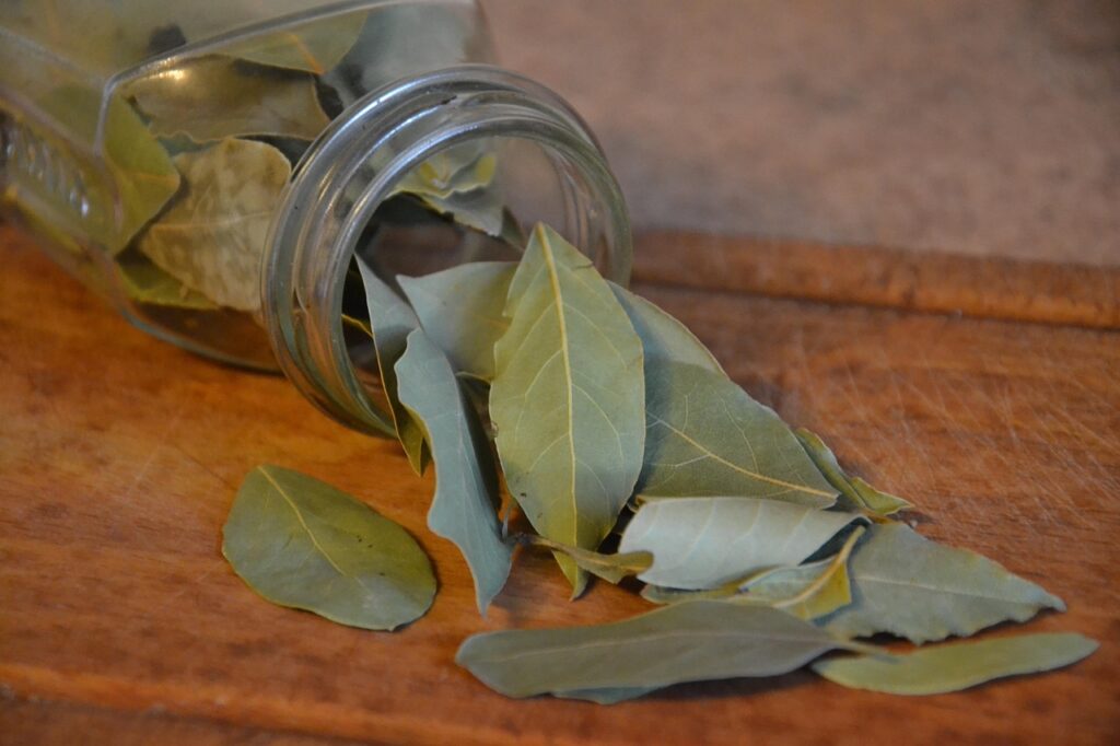 Hojas de laurel secas para el ritual de luna llena con laurel y canela