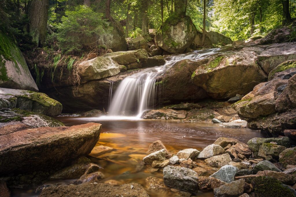 Río que fluye entre rocas en un bosque
