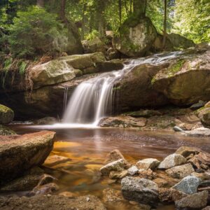 Río que fluye entre rocas en un bosque